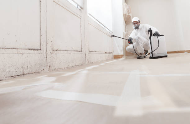 24/7 Emergency Black Mold Remediation experts in Wilmette, IL