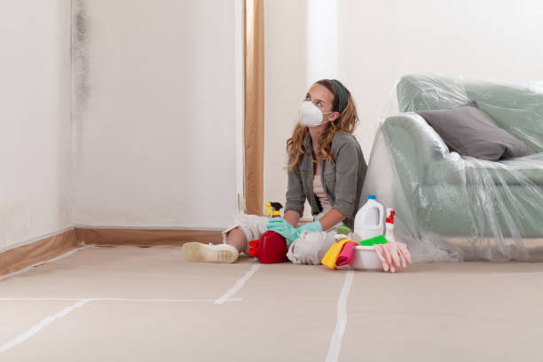 Reliable Black Mold Remediation contractor in Wilmette, IL by Mold Remediation HQ